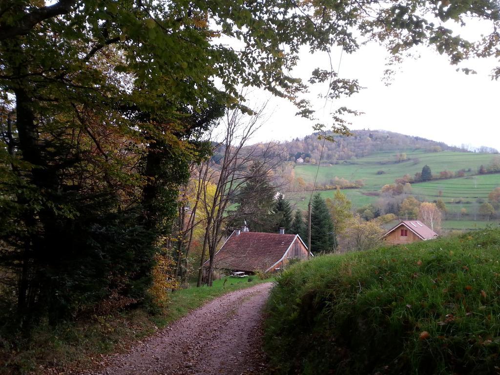 Giteovosges La Croix-aux-Mines Εξωτερικό φωτογραφία