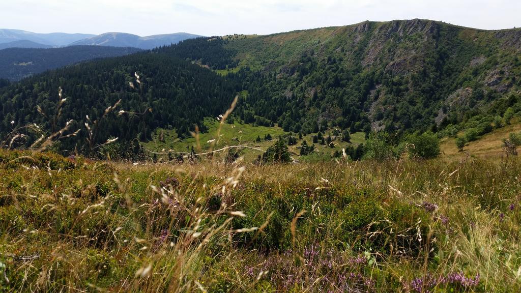 Giteovosges La Croix-aux-Mines Εξωτερικό φωτογραφία